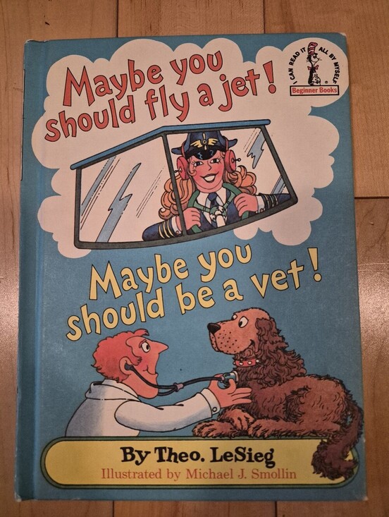 Dr. Seuss Other - Vintage Maybe You Should Fly a Jet! by Theo LeSieg (Dr. Seuss)